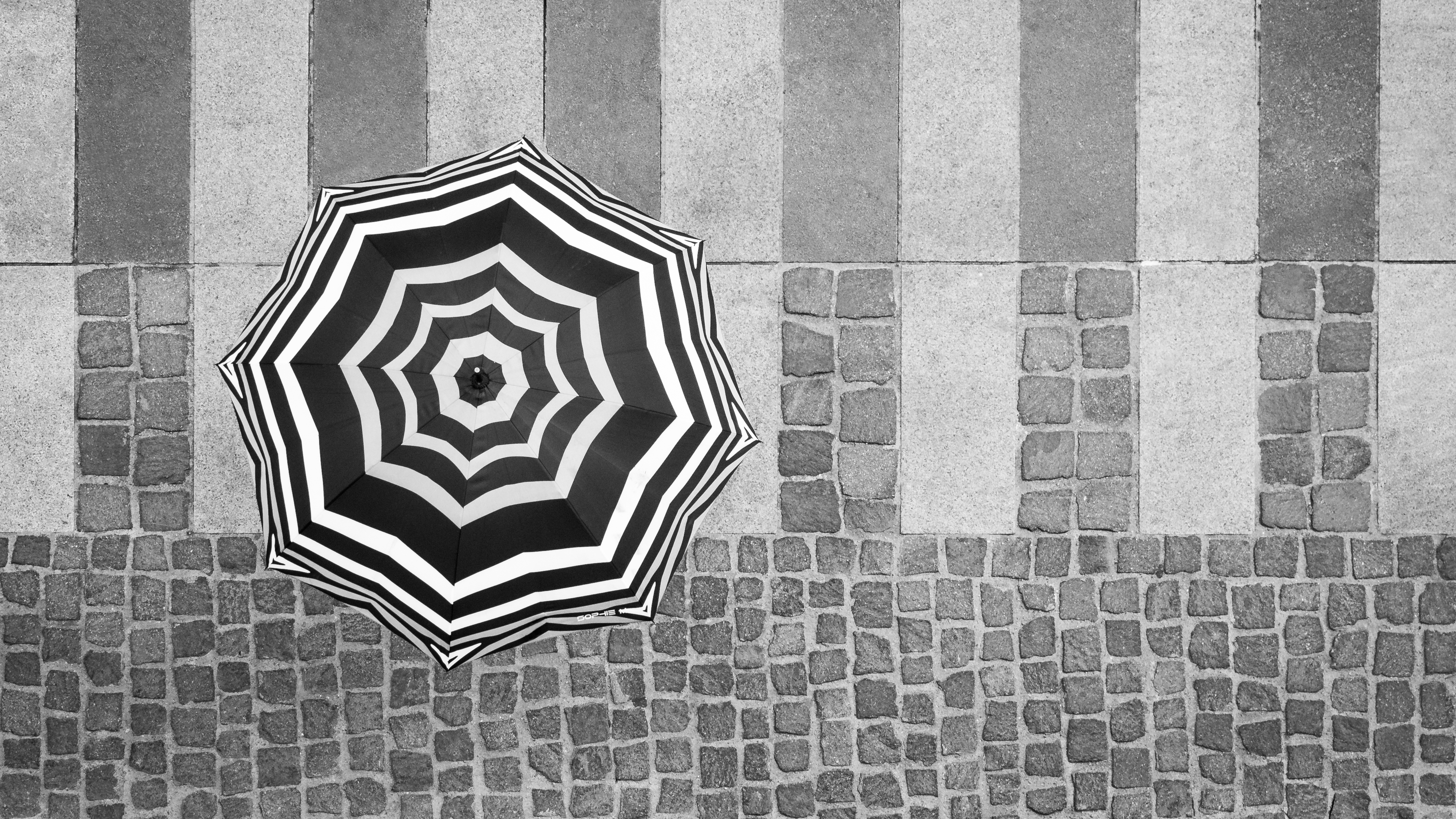 6e photo sur le thème : Parapluie