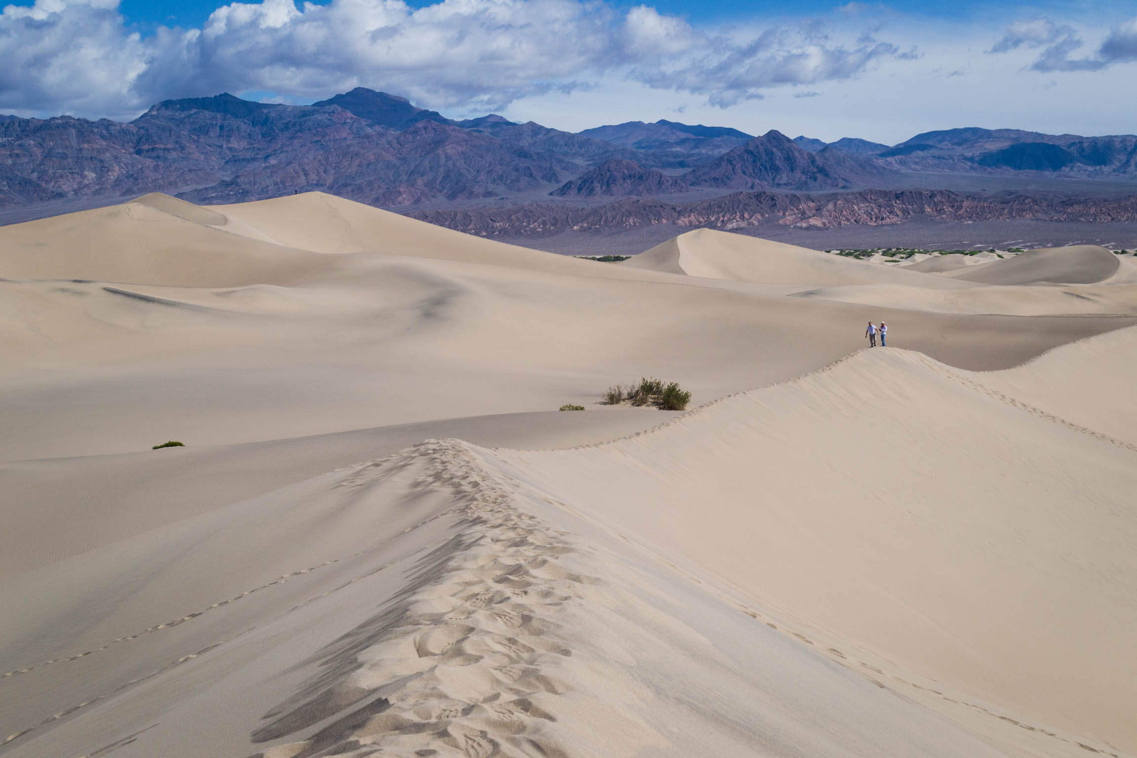 Les Sand Dunes de la Vallée de la Mort