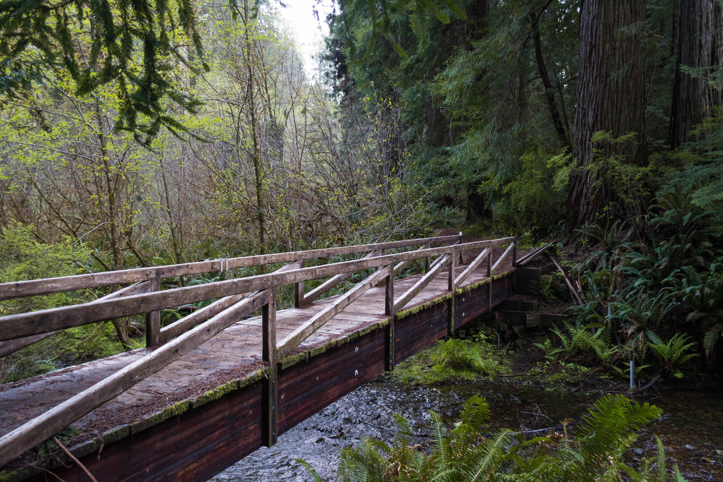 Quelques ponts en bois jalonnent le trail