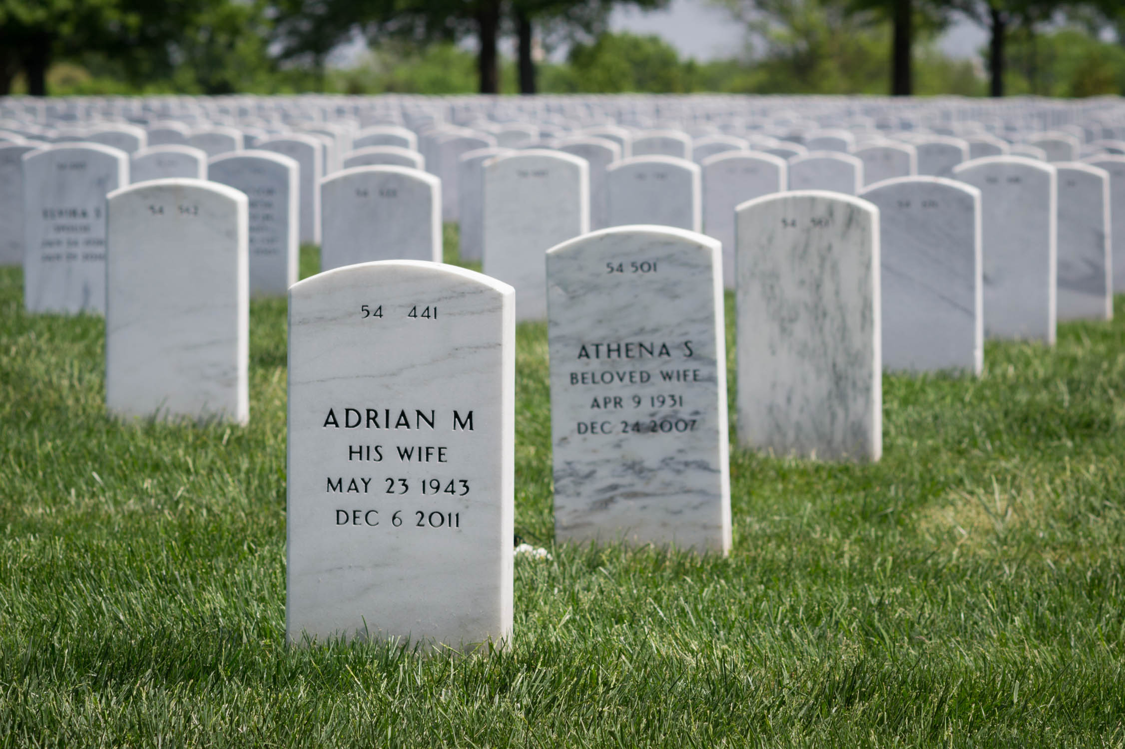Les tombes du cimetière d'Arlington se comptent par milliers