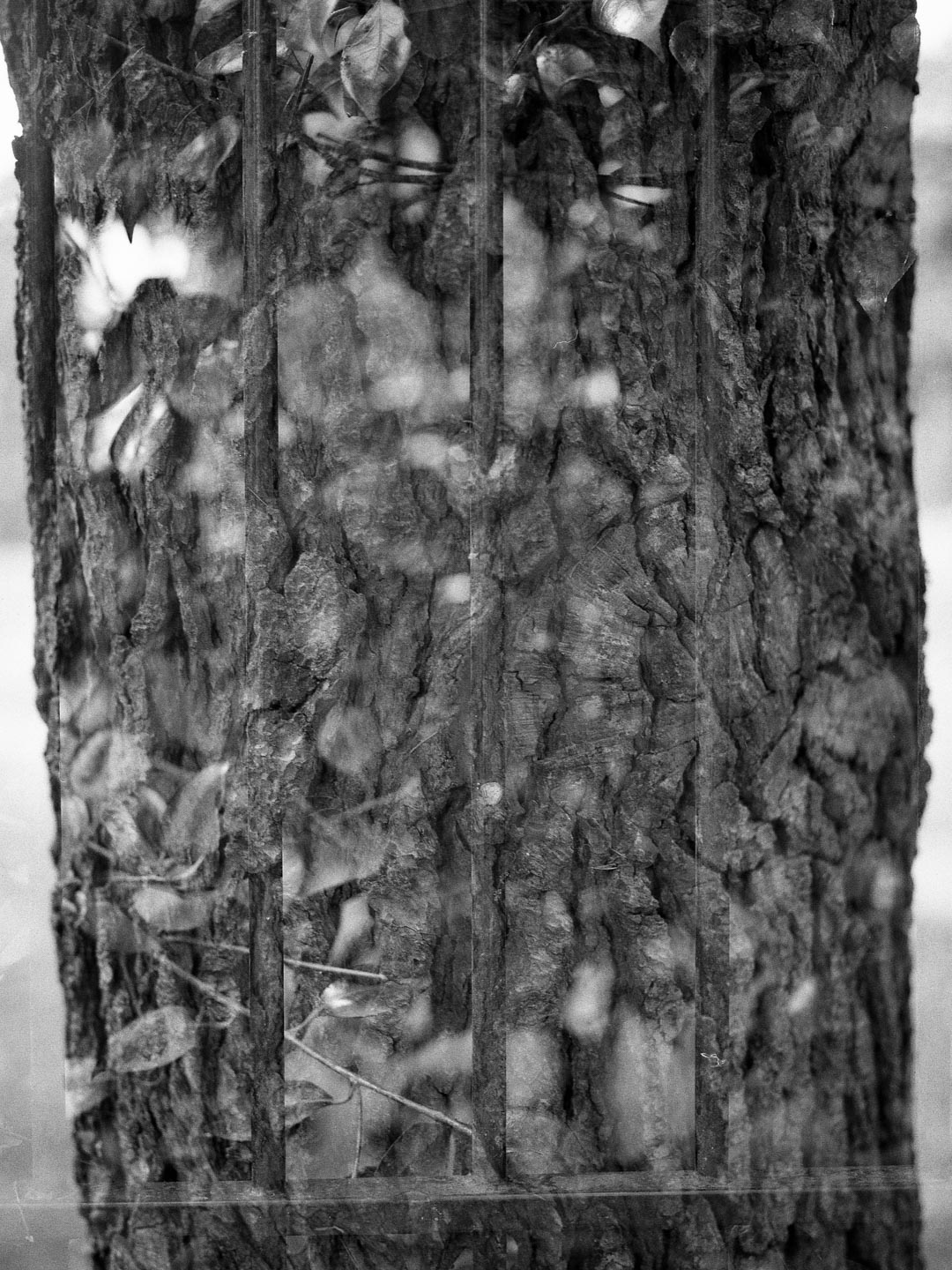 Une double exposition à base de tronc d'arbre et de grillage